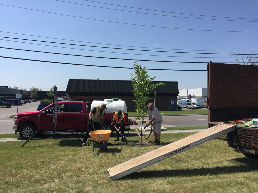 Tree planting crew at work