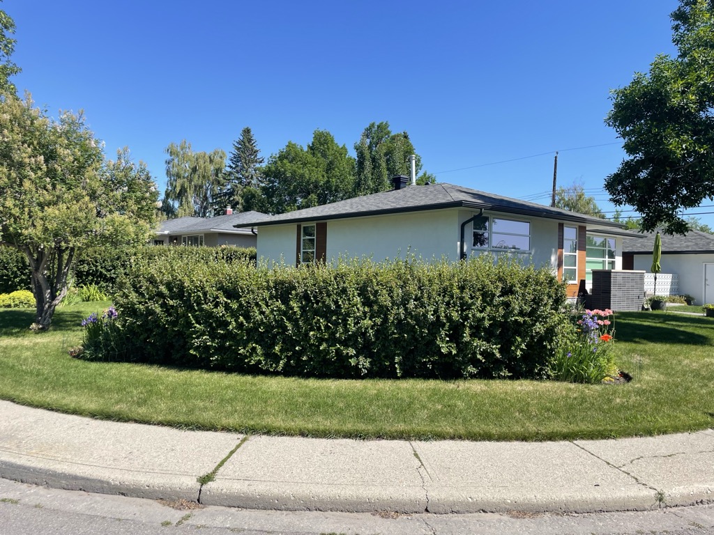 Well-maintained hedge and lawn