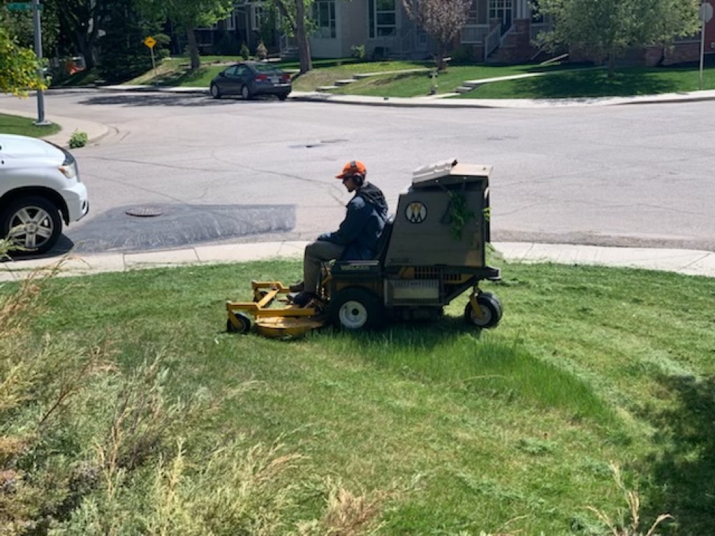 Riding mower on Calgary lawn
